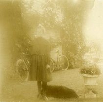 4b Crook - 2013 023 043 A-w